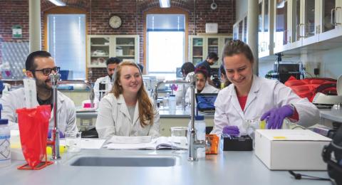 students working in a lab